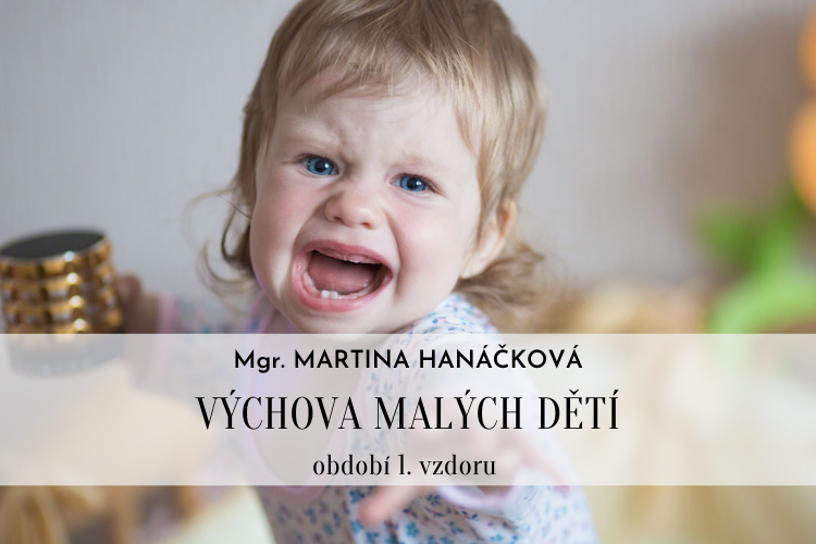 VÝCHOVA MALÝCH DĚTÍ -období 1. vzdoru