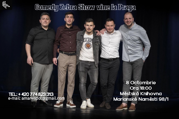 Comedy Zebra Show