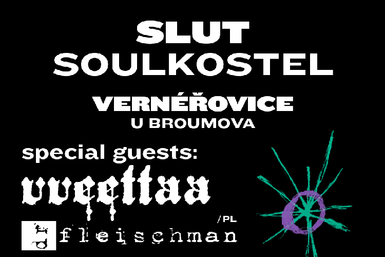 SLUT * DR FLEISCHMAN * VVEETTAA