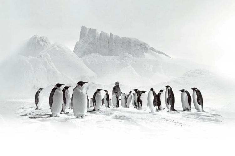Volání Antarktidy