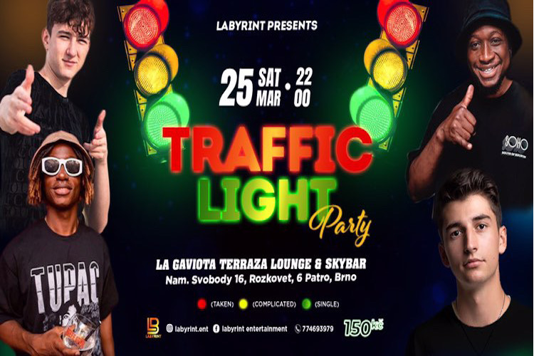 🚦TRAFFIC LIGHT PARTY🚦