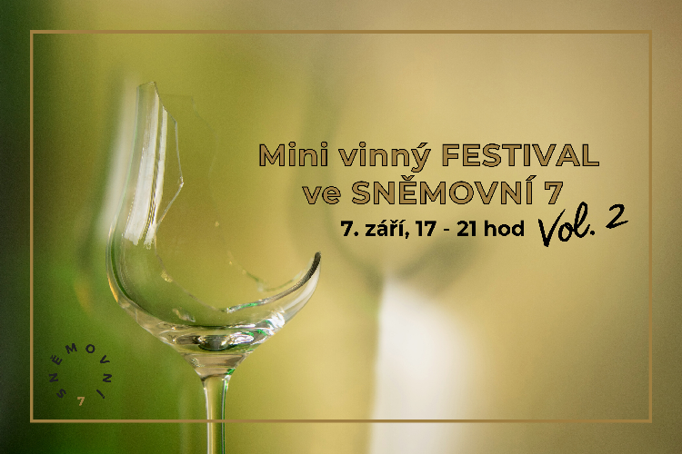 Mini vinný festival II.