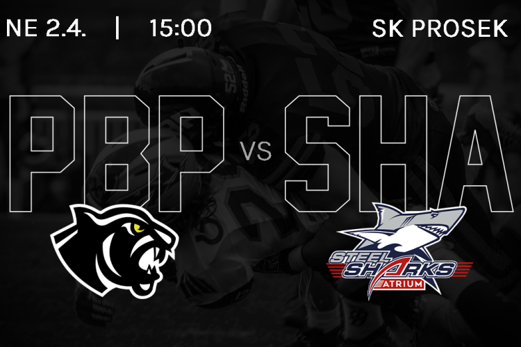 Prague Black Panthers vs Steelsharks Traun